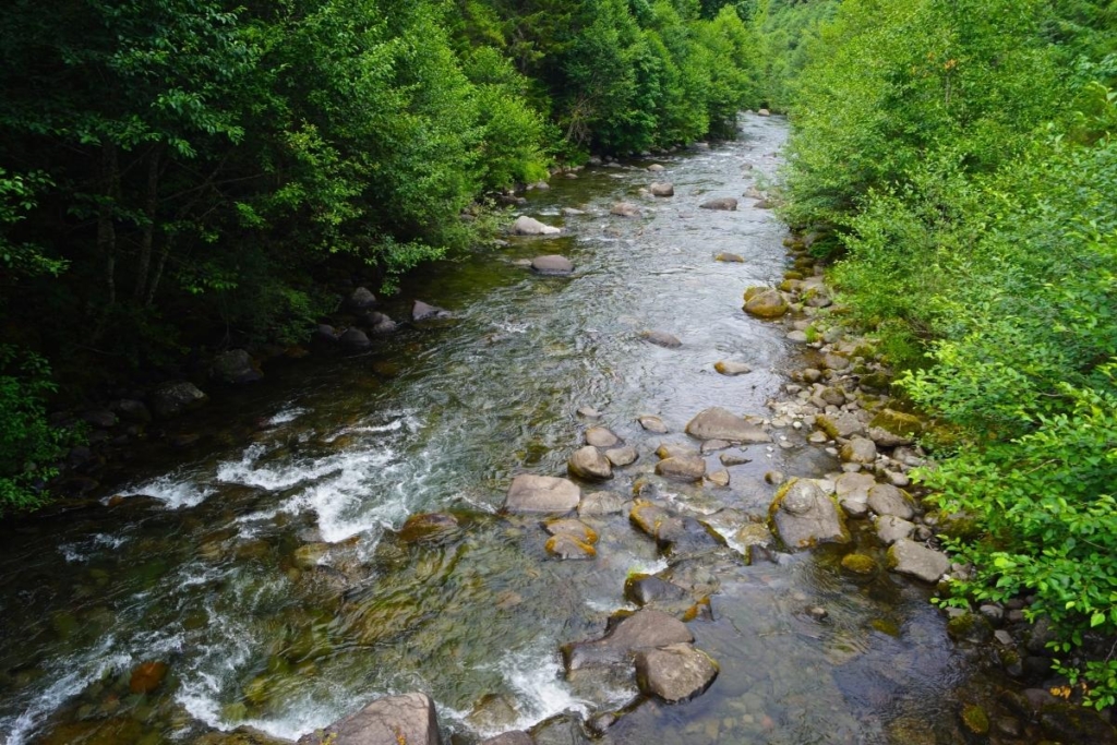 Neden Kuzey Ege'de Yaşamalıyım?
