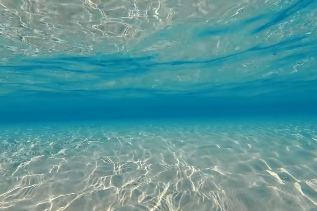 Neden Kuzey Ege'de Yaşamalıyım?